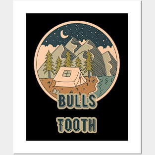 Bulls Tooth Posters and Art